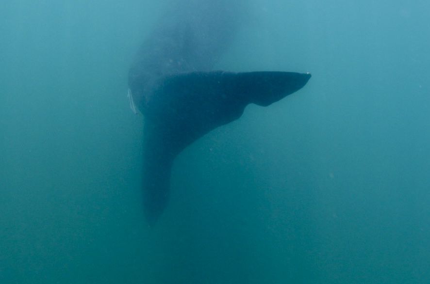 9f13ce3b-6118-4498-87ca-d96be039cee0