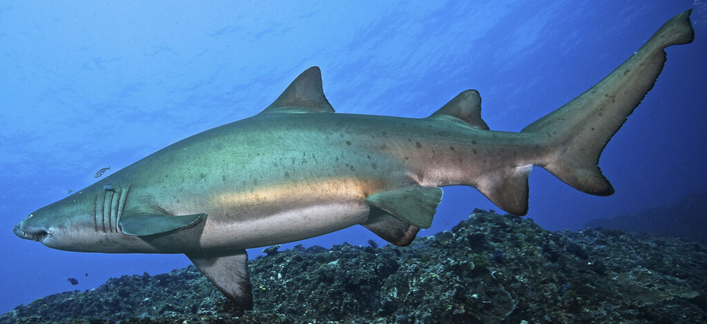 76dcc124-f572-40a1-ac31-456eb911d9f1