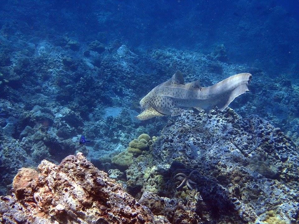 7172075a-cf42-41c5-bcdb-d5c943f6e64b