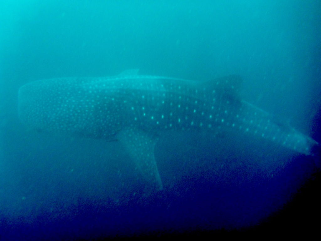 de640cd1-0ff1-4d67-9465-7651a54a7602