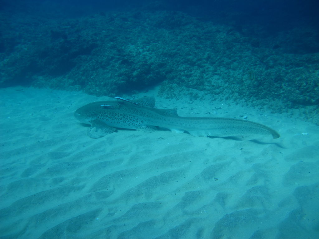 b57c14f2-6410-4ef0-b0ed-5ab6b3f0c32b