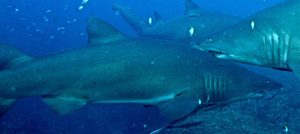 e1ad1e69-3972-40d4-a90d-7768f2931df6