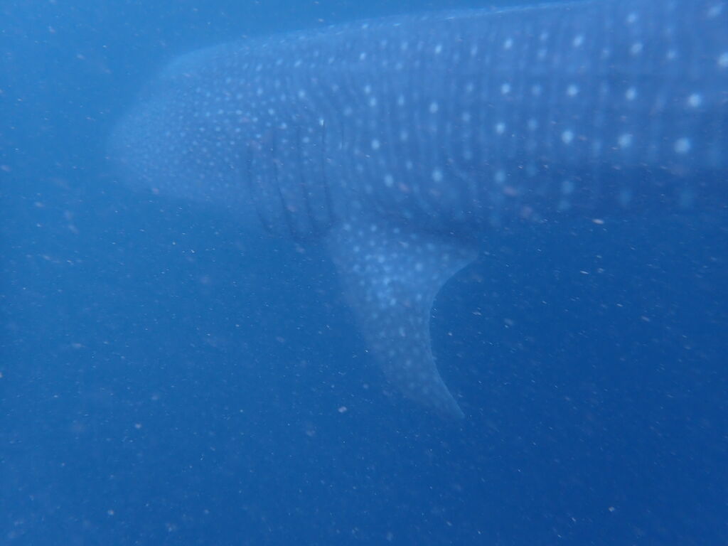 5bc58a5b-591f-488d-9b16-7e2bc0f02bb5