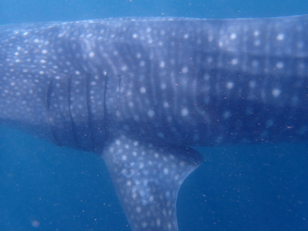 5bc58a5b-591f-488d-9b16-7e2bc0f02bb5