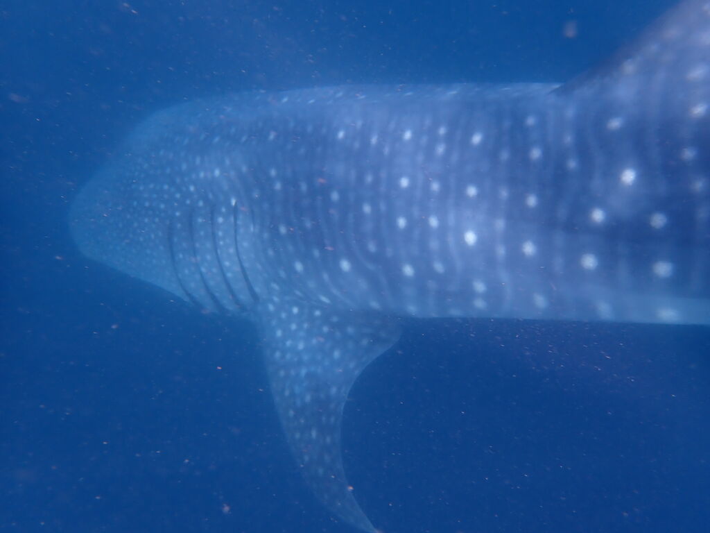 5bc58a5b-591f-488d-9b16-7e2bc0f02bb5