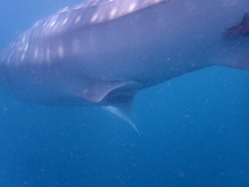 5bc58a5b-591f-488d-9b16-7e2bc0f02bb5