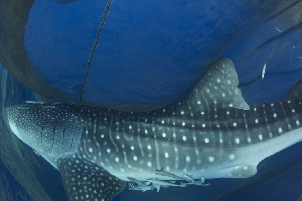 40eda02b-1b3e-4a7c-86dd-a10560660a81