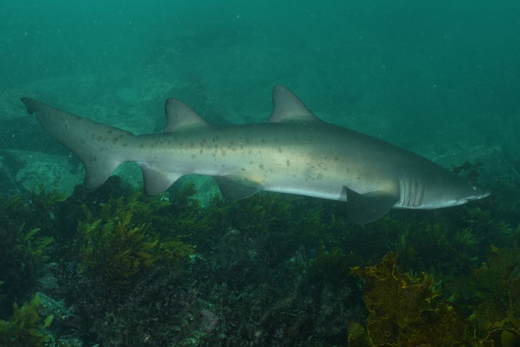 466d20d8-5dbf-4f3b-ad46-114d9b233e5f