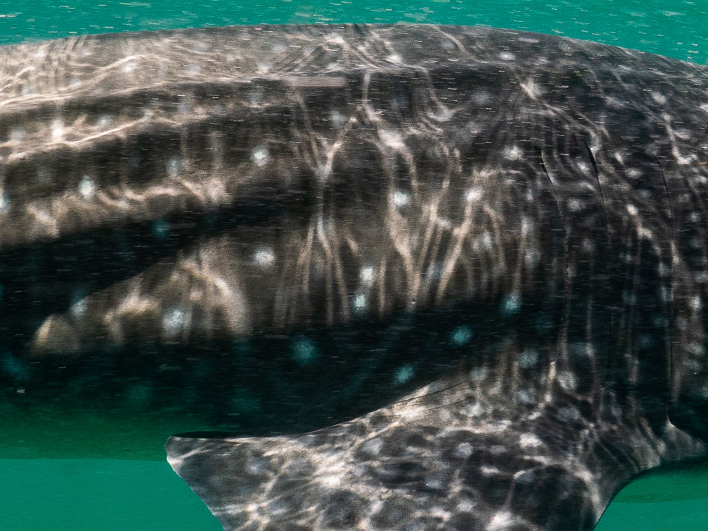 c2638796-c7c3-4614-b298-7fae08fb10a9