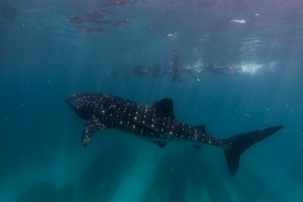 51d20eb0-aa16-44df-9794-9898db8f8bec