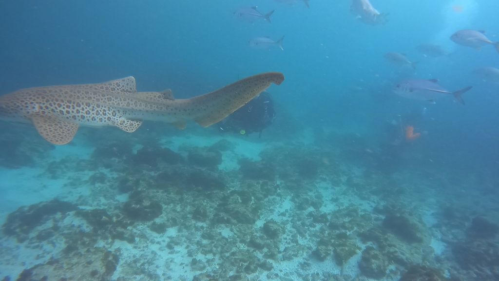 e6b815f3-e59d-4931-87af-9458956bc132