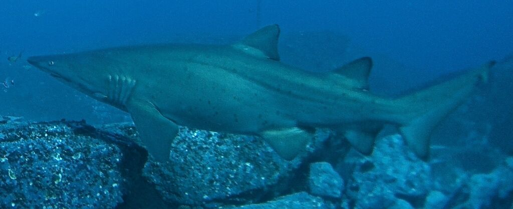 c501ef5a-ec16-41b4-9562-c5d6936d9130