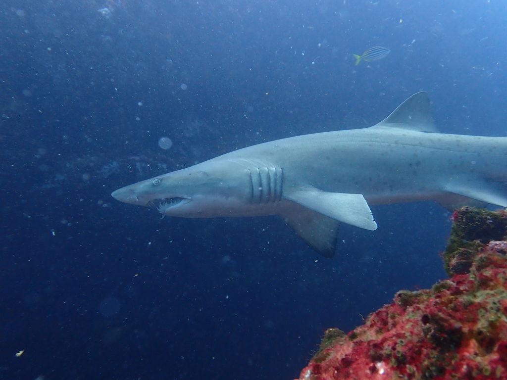 19e25995-7d5a-45bd-91ec-2e758b85c0cf