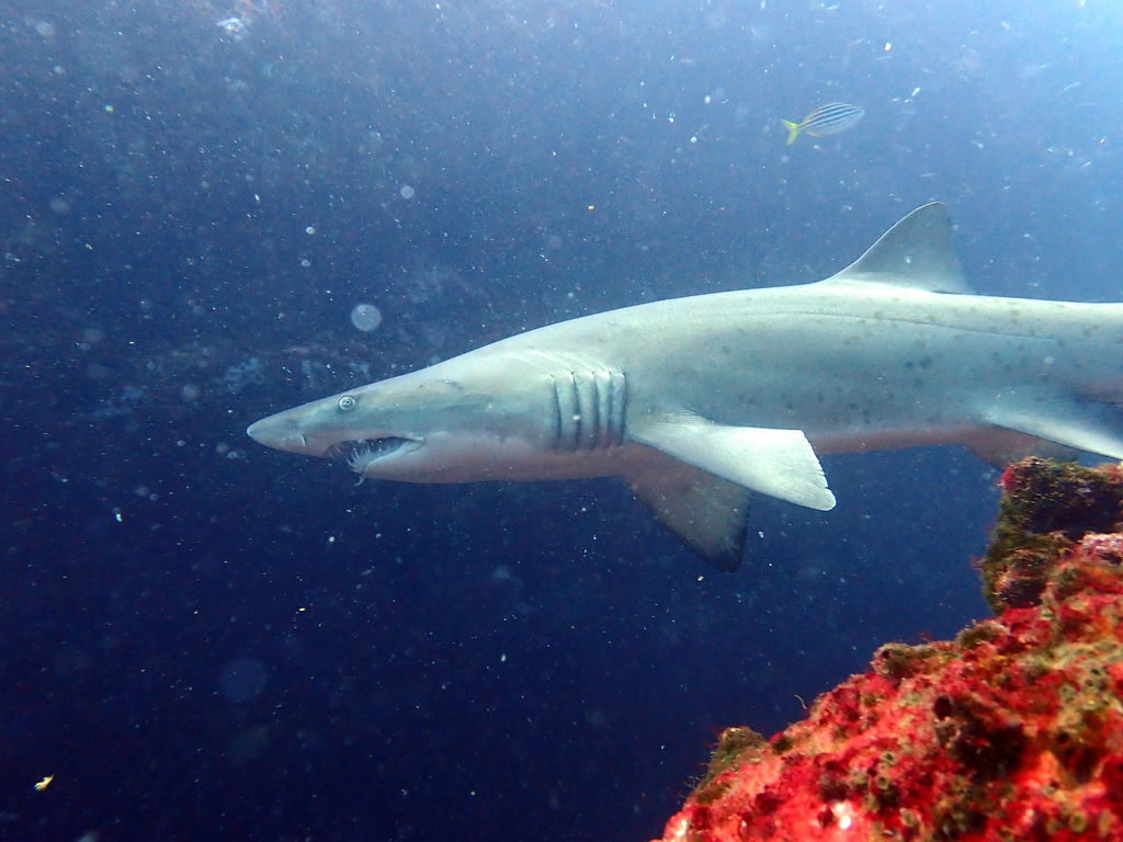 19e25995-7d5a-45bd-91ec-2e758b85c0cf