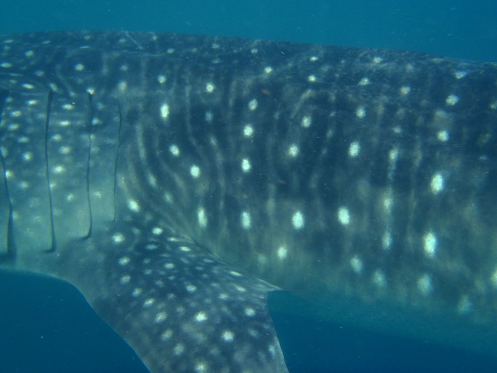 e01ef020-3244-4bee-b310-bb61c1e75bcb