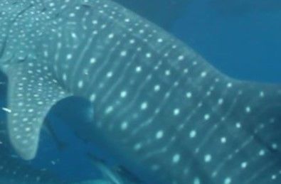 e403bcfd-663f-48ae-9a35-acf42c3a8771