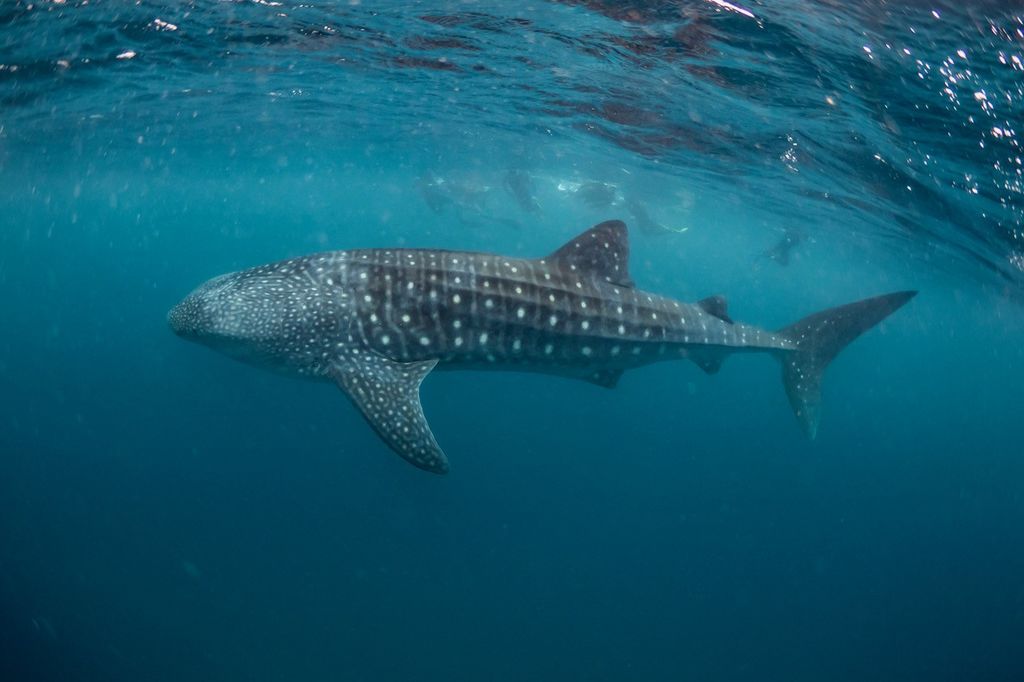 142157e7-2687-4b3d-bc4c-7166ebfd5273