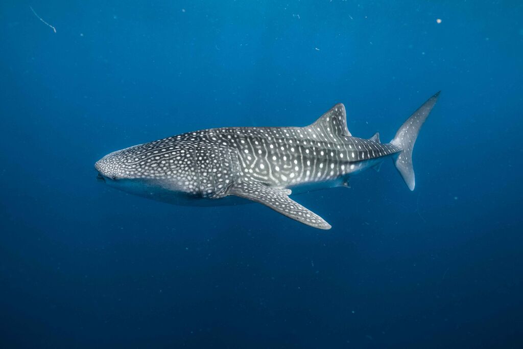 b38a9058-7b12-4710-b32b-10316d7cf350