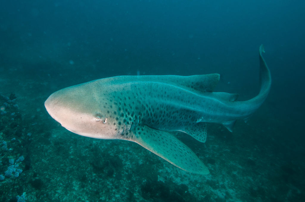 b9eaaaf1-27ad-4802-8160-9bae8b598304