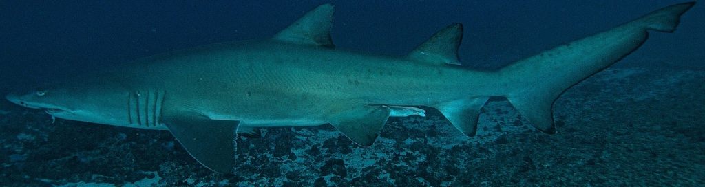 306cf008-a629-4c49-a888-c6eb97fdf97a