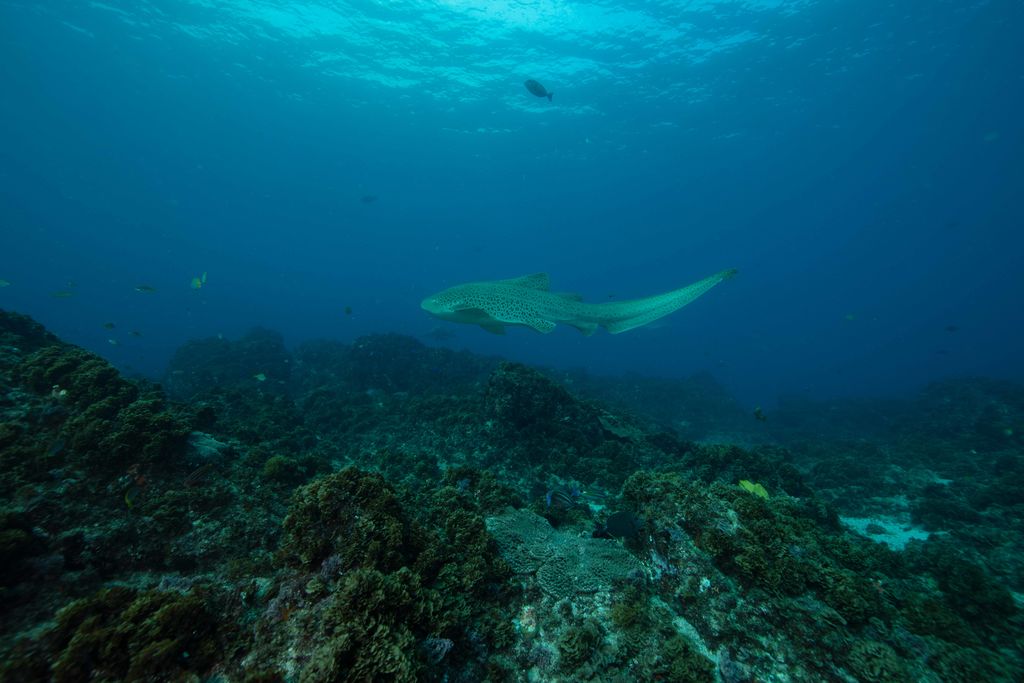 6d4c28fc-1a1f-4129-9ace-9df3c0a01b21