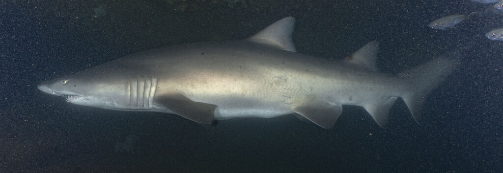 24f815b4-cbce-48ce-aa9e-787ce0173525