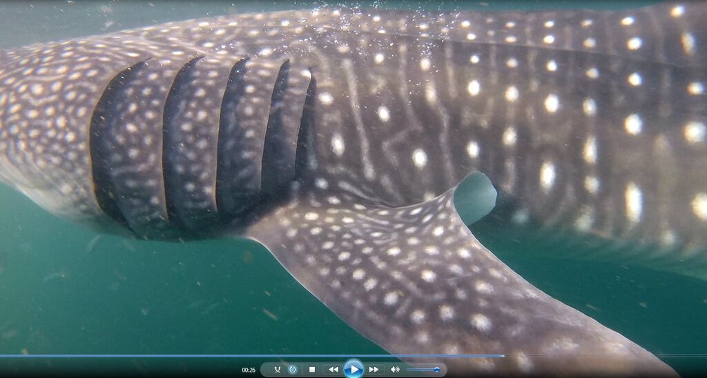 236abcfd-5da4-4b51-8ea9-1072f3f9895e