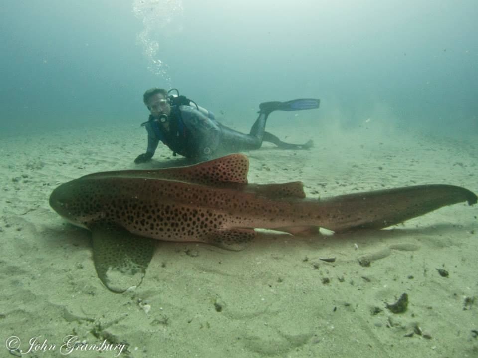 742bd00b-3f46-490d-9ca4-776ecb7d9d7c