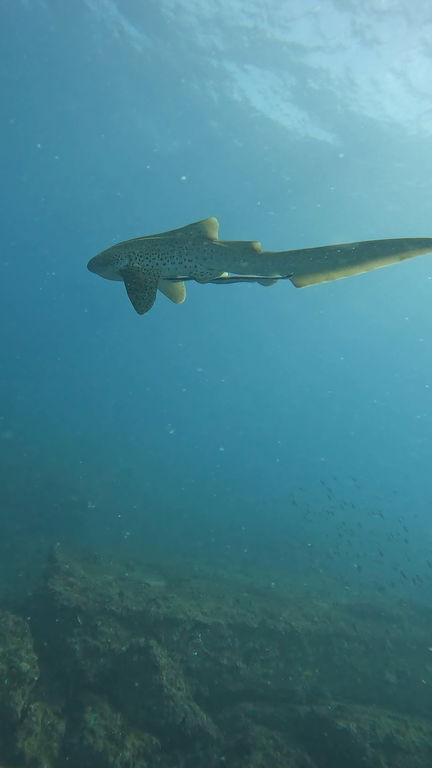 0233a177-cd63-4b6b-956a-25cf717e69e8