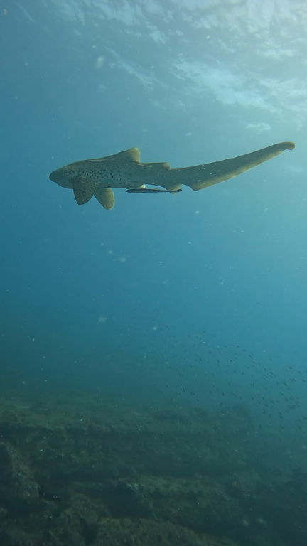 0233a177-cd63-4b6b-956a-25cf717e69e8