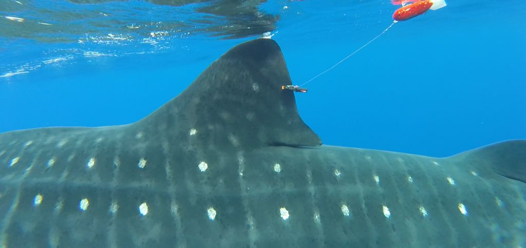 b83a9841-a801-44fa-98ce-4f10b33870d9