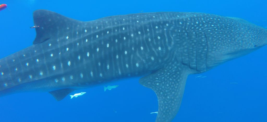 b83a9841-a801-44fa-98ce-4f10b33870d9