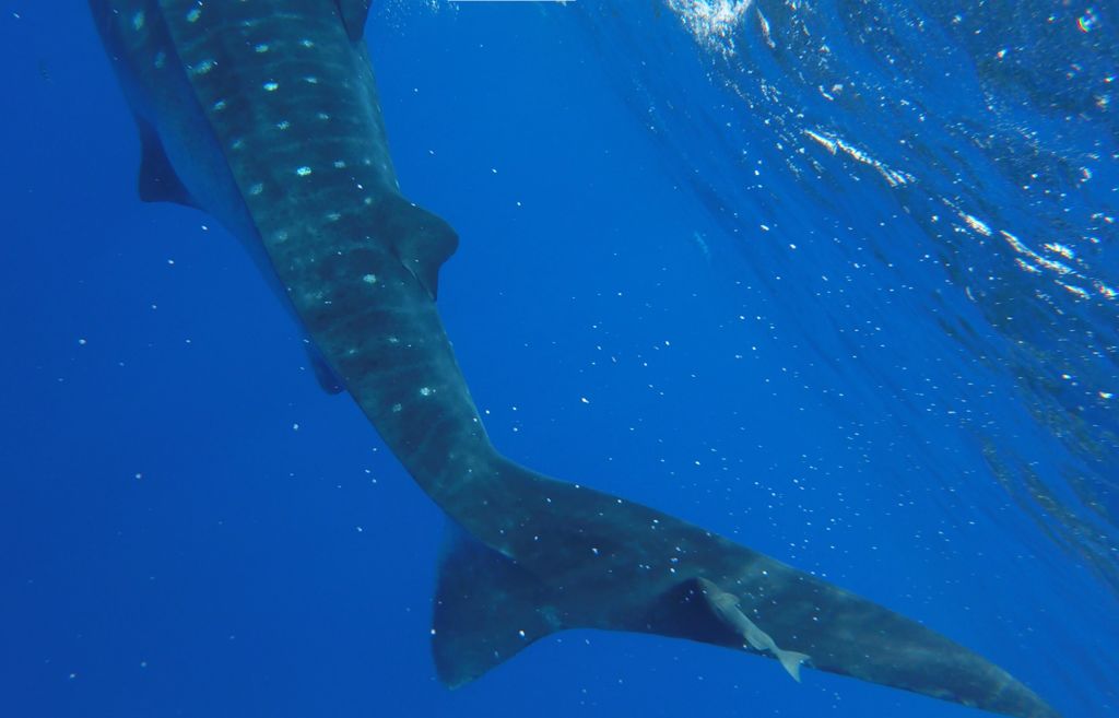 b83a9841-a801-44fa-98ce-4f10b33870d9