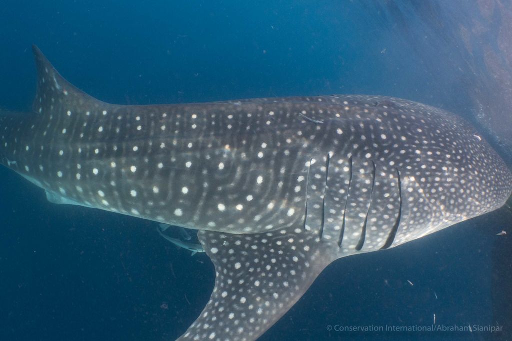 0d268228-a247-4e79-bab0-9e0bf00a4cf1