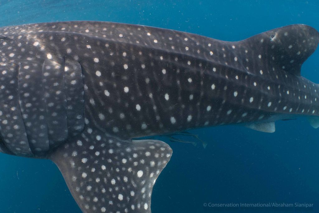 0d268228-a247-4e79-bab0-9e0bf00a4cf1