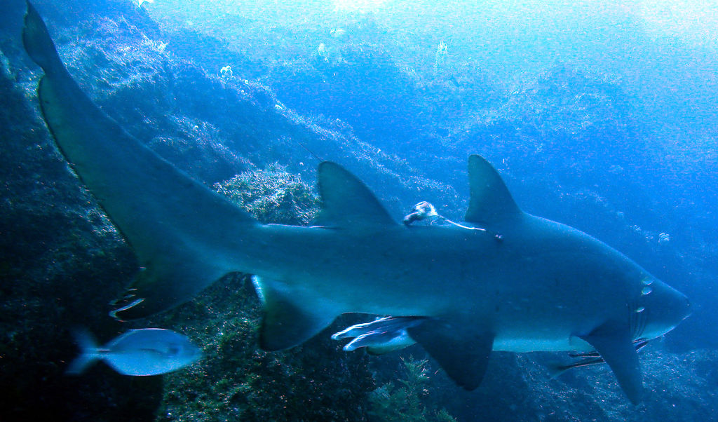 8e7f0035-f040-4778-a662-db7932ac3e18