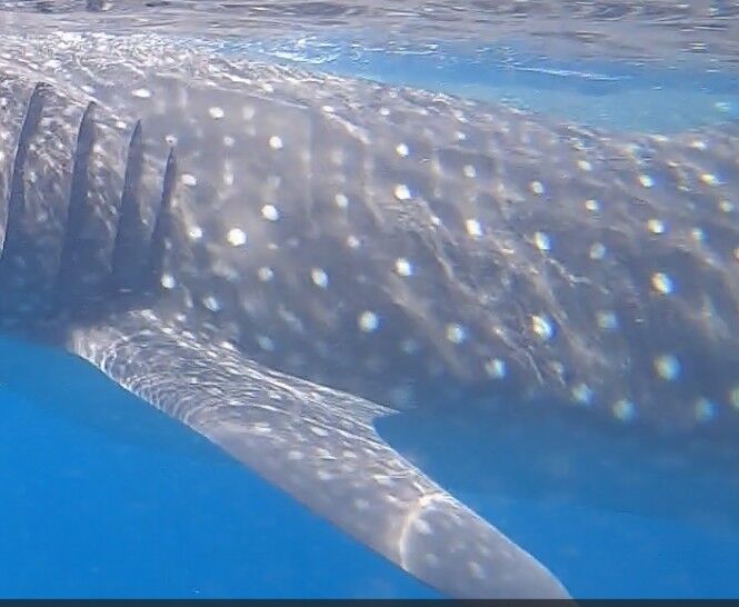 37ffbe2f-01a1-4b44-b9fb-3f35c6125661