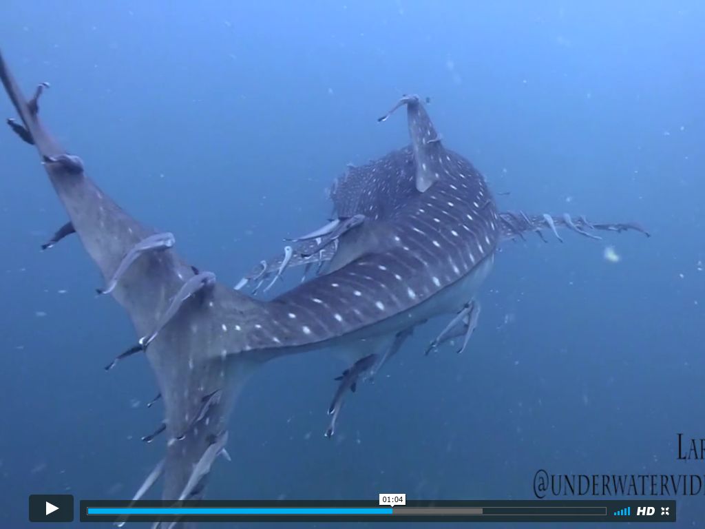 b8395b8e-78b3-42d2-a2e0-eed0b280cca4