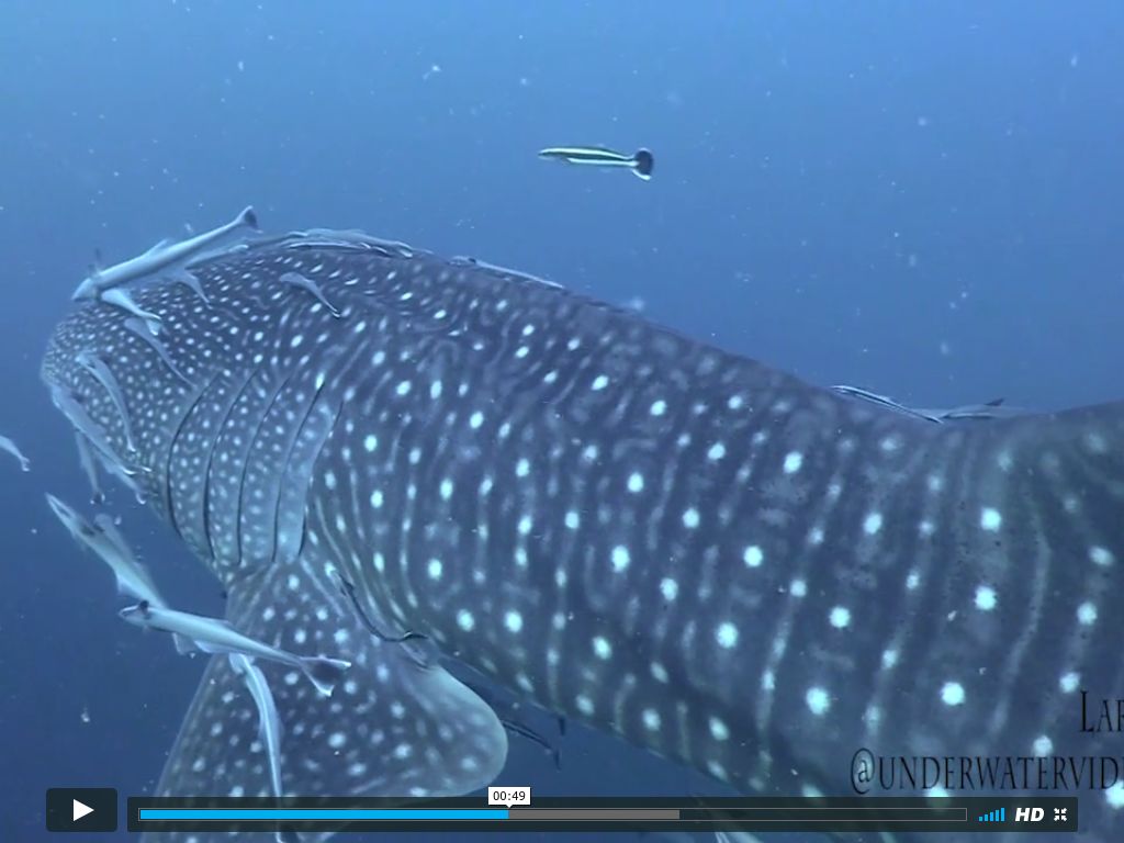 b8395b8e-78b3-42d2-a2e0-eed0b280cca4