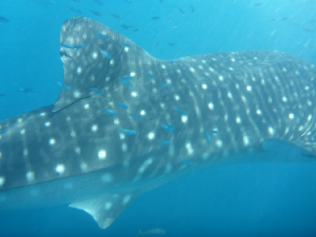 f6454046-c601-41e7-a8b0-b7361d7fd604