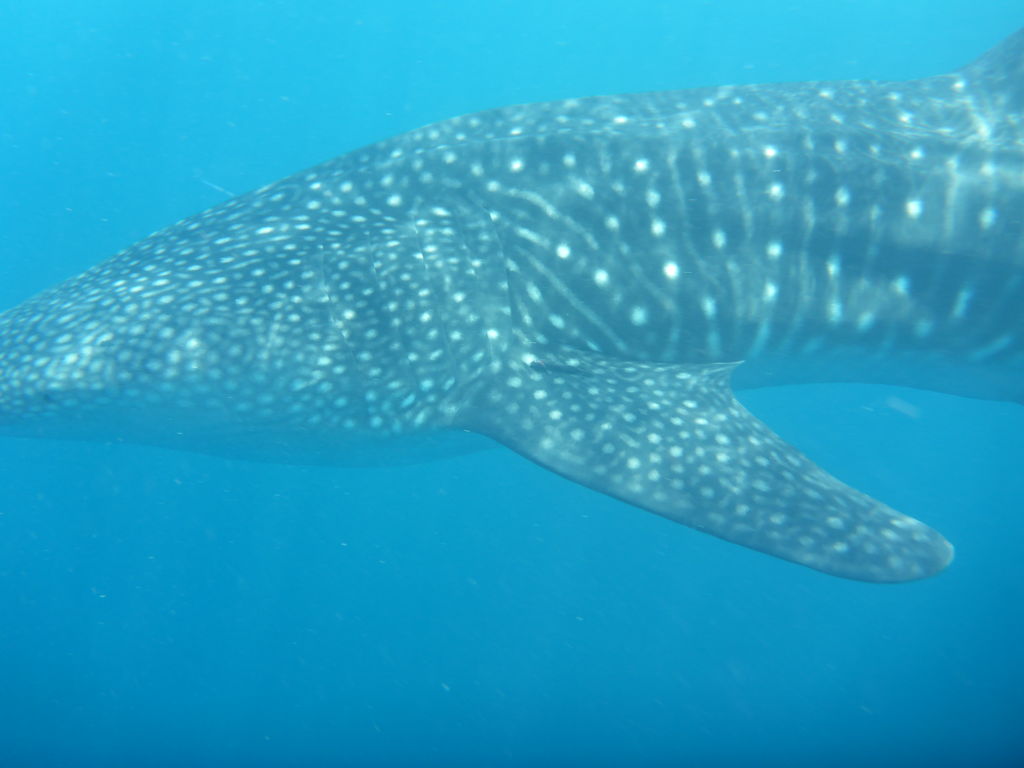 f6454046-c601-41e7-a8b0-b7361d7fd604