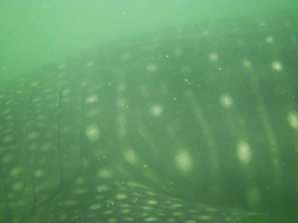 b3ce0312-9501-42f8-82e0-0dc61fdd4f83