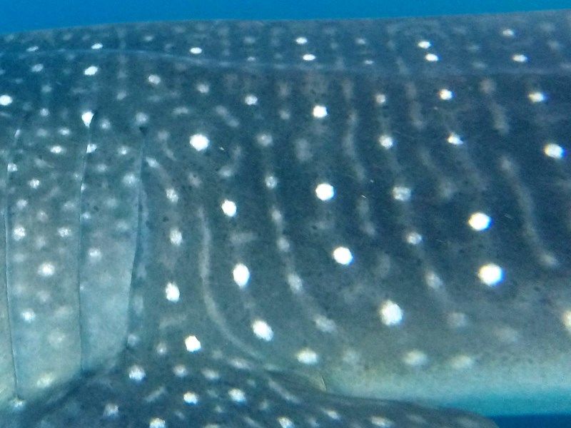 3183d920-db7f-43a3-8bf8-3c4c95b73baf