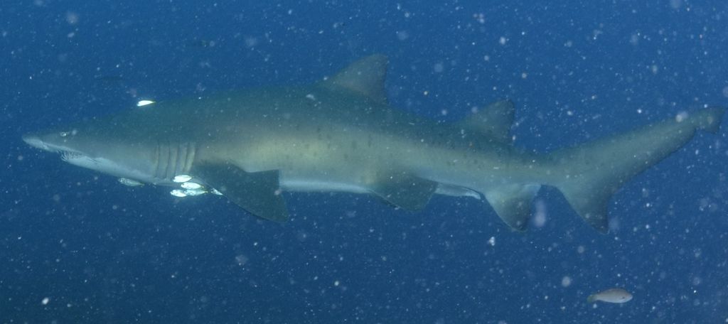 66910f44-1328-4c8f-b94e-2cb114af757b