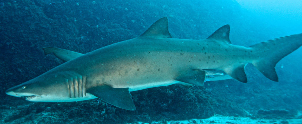 3ebde6d0-2421-484e-87d9-298aaa832d0a