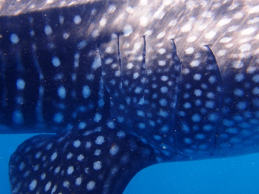 28514dc3-2204-4101-b276-f26413267c26