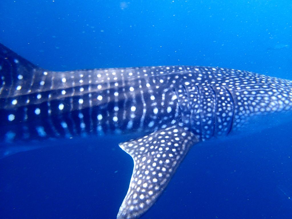 28514dc3-2204-4101-b276-f26413267c26