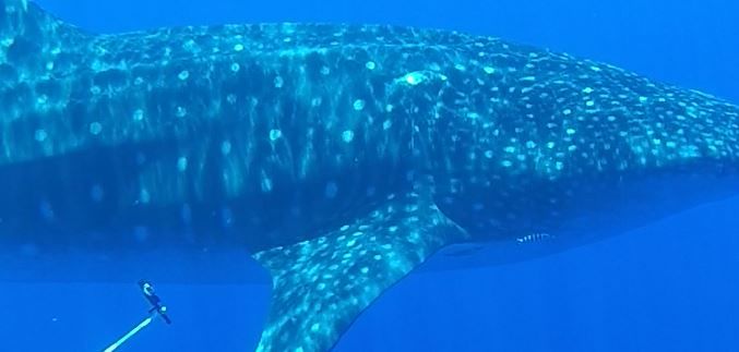 22b1d92f-d93a-41e2-8e70-0df732351943