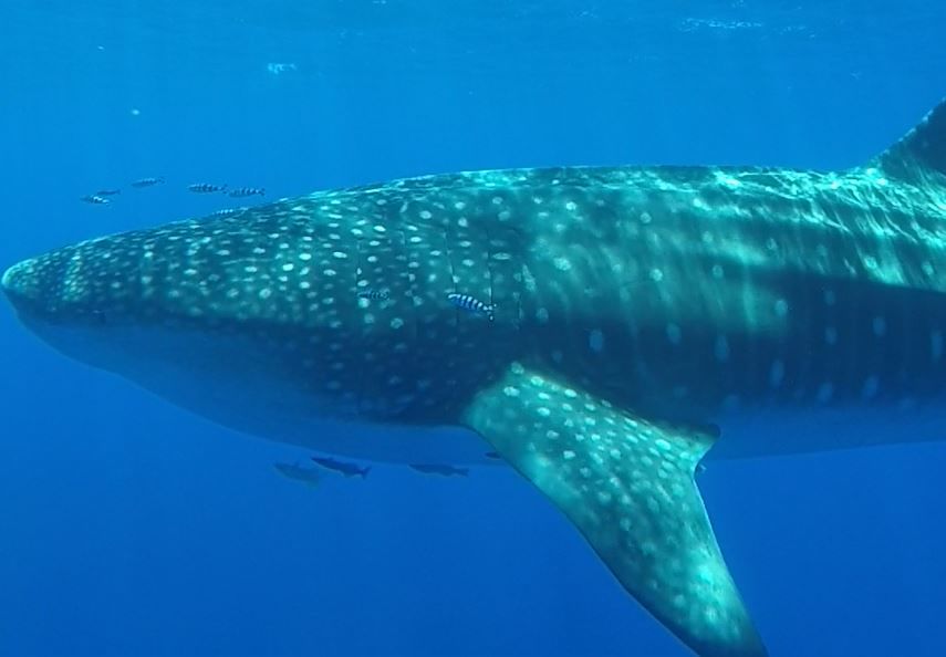 22b1d92f-d93a-41e2-8e70-0df732351943