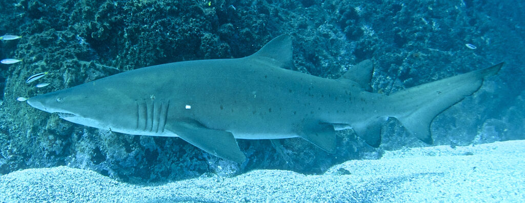 ae88a947-cb07-4e38-82a8-079224cc7173